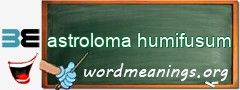 WordMeaning blackboard for astroloma humifusum
